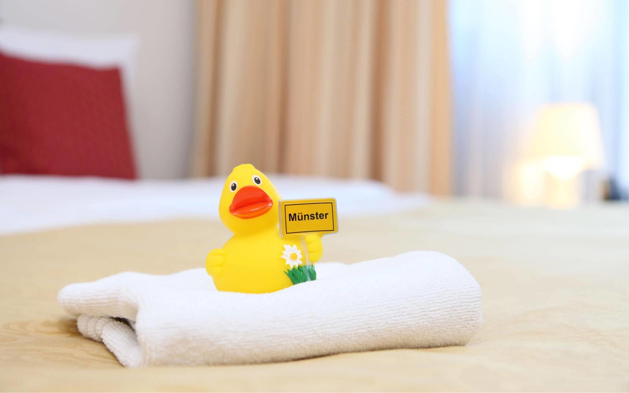 מונסטר Cityhotel Amadeus מראה חיצוני תמונה